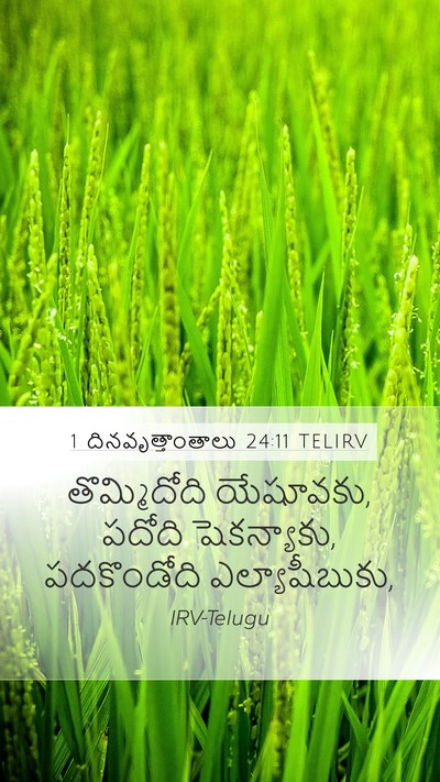 1 దినవృత్తాంతాలు 24:11 TELIRV Mobile Phone Wallpaper - తొమ్మిదోది - Mobile Bible Verse Wallpaper