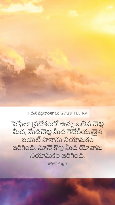 1 దినవృత్తాంతాలు 27:28 TELIRV Bible Verse Image