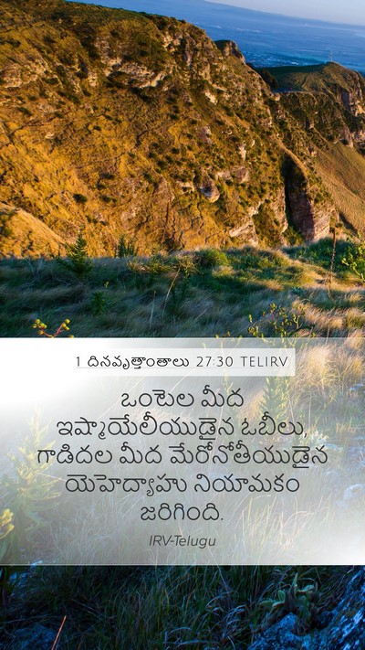 1 దినవృత్తాంతాలు 27:30 TELIRV Mobile Phone Wallpaper - ఒంటెల మీద - Mobile Bible Verse Wallpaper