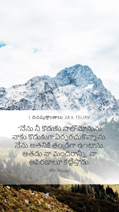 1 దినవృత్తాంతాలు 28:6 TELIRV Bible Verse Image