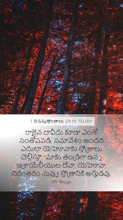 1 దినవృత్తాంతాలు 29:10 TELIRV Bible Verse Image