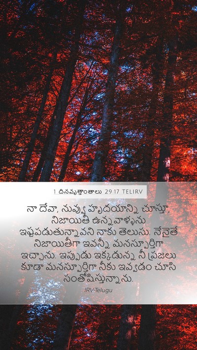 1 దినవృత్తాంతాలు 29:17 TELIRV Bible Verse Image