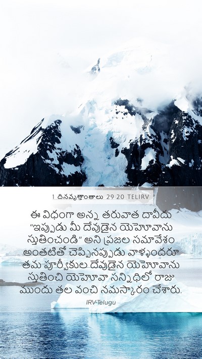 1 దినవృత్తాంతాలు 29:20 TELIRV Bible Verse Image