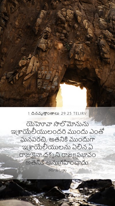 1 దినవృత్తాంతాలు 29:25 TELIRV Bible Verse Image
