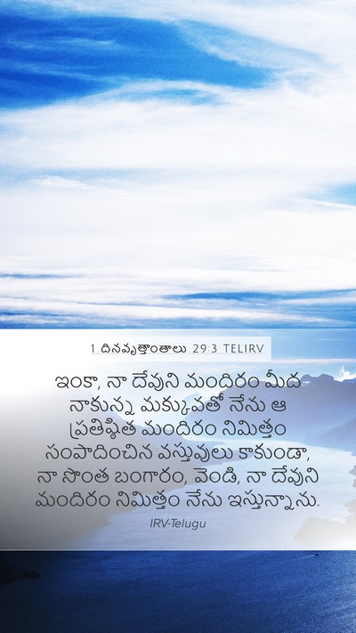 1 దినవృత్తాంతాలు 29:3 TELIRV Bible Verse Image