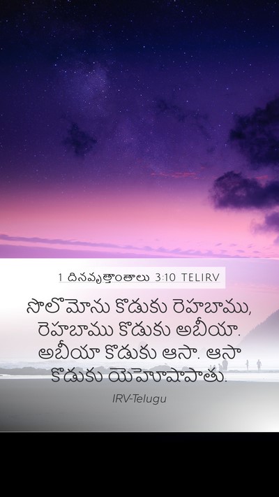 1 దినవృత్తాంతాలు 3:10 TELIRV Bible Verse Image