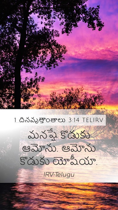 1 దినవృత్తాంతాలు 3:14 TELIRV Bible Verse Image