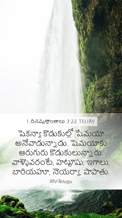 1 దినవృత్తాంతాలు 3:22 TELIRV Bible Verse Image