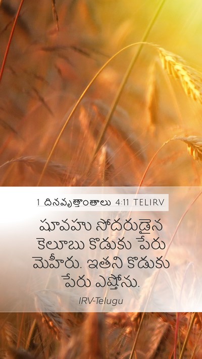 1 దినవృత్తాంతాలు 4:11 TELIRV Mobile Phone Wallpaper - షూవహు సోదరుడైన - Mobile Bible Verse Wallpaper