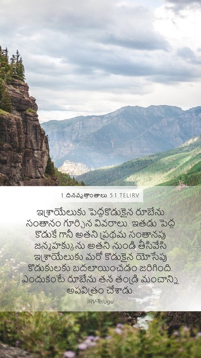 1 దినవృత్తాంతాలు 5:1 TELIRV Bible Verse Image
