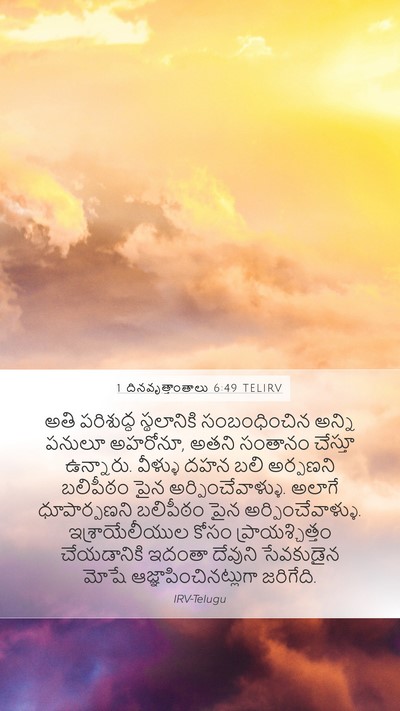 1 దినవృత్తాంతాలు 6:49 TELIRV Bible Verse Image