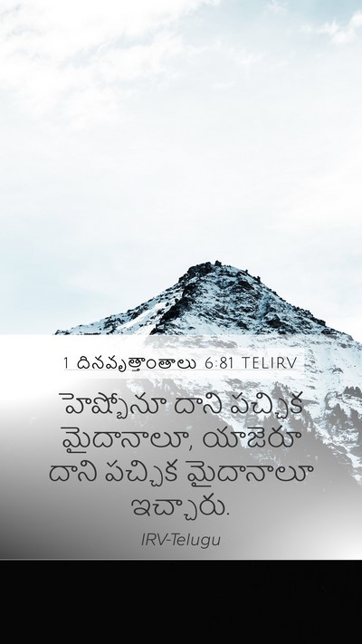 1 దినవృత్తాంతాలు 6:81 TELIRV Bible Verse Image