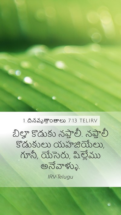 1 దినవృత్తాంతాలు 7:13 TELIRV Bible Verse Image