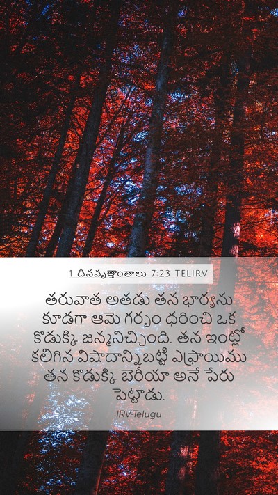 1 దినవృత్తాంతాలు 7:23 TELIRV Bible Verse Image