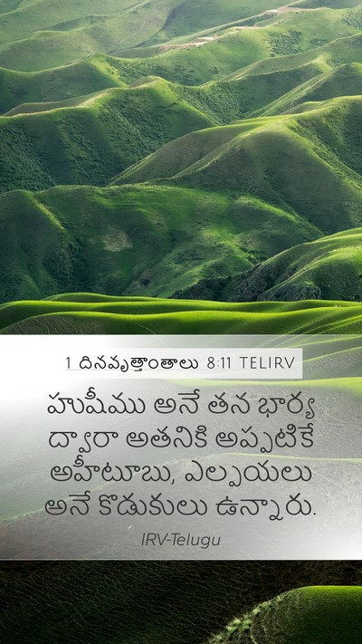 1 దినవృత్తాంతాలు 8:11 TELIRV Mobile Phone Wallpaper - హుషీము అనే తన - Mobile Bible Verse Wallpaper