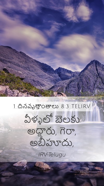 1 దినవృత్తాంతాలు 8:3 TELIRV Bible Verse Image