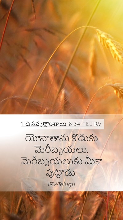 1 దినవృత్తాంతాలు 8:34 TELIRV Bible Verse Image