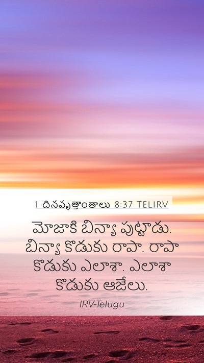 1 దినవృత్తాంతాలు 8:37 TELIRV Bible Verse Image