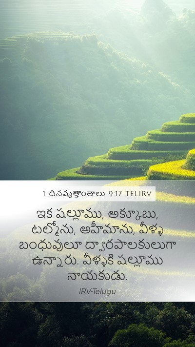 1 దినవృత్తాంతాలు 9:17 TELIRV Bible Verse Image