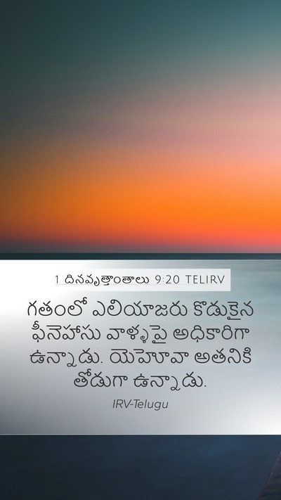 1 దినవృత్తాంతాలు 9:20 TELIRV Bible Verse Image