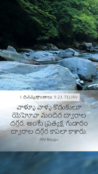1 దినవృత్తాంతాలు 9:23 TELIRV Bible Verse Image