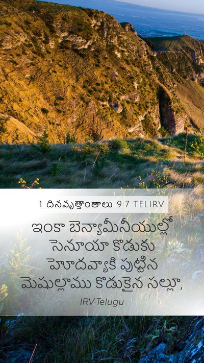 1 దినవృత్తాంతాలు 9:7 TELIRV Bible Verse Image