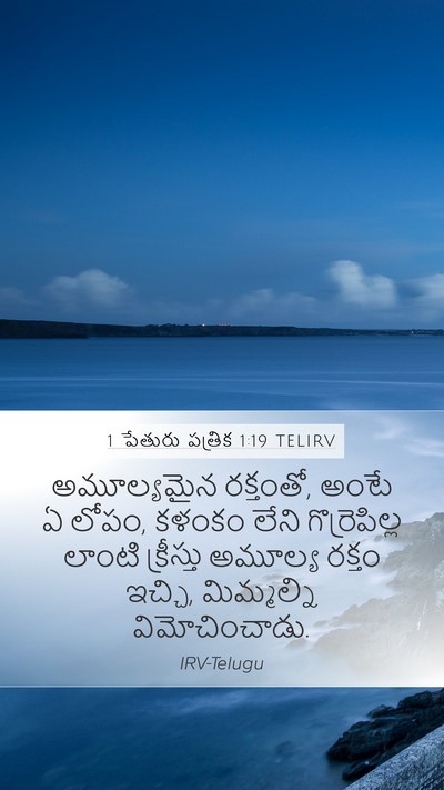 1 పేతురు పత్రిక 1:19 TELIRV Bible Verse Image