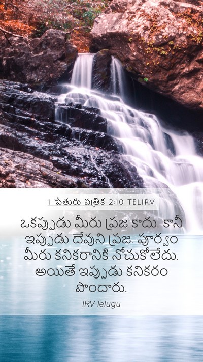 1 పేతురు పత్రిక 2:10 TELIRV Bible Verse Image