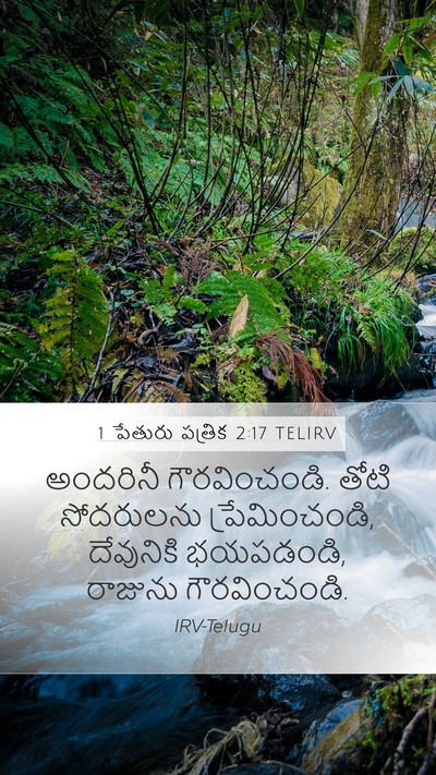1 పేతురు పత్రిక 2:17 TELIRV Bible Verse Image
