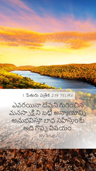 1 పేతురు పత్రిక 2:19 TELIRV Bible Verse Image