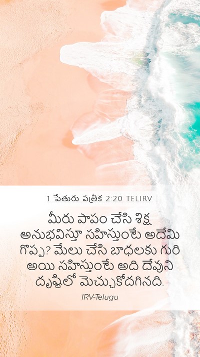 1 పేతురు పత్రిక 2:20 TELIRV Bible Verse Image