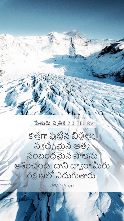 1 పేతురు పత్రిక 2:3 TELIRV Mobile Phone Wallpaper - కొత్తగా పుట్టిన - Mobile Bible Verse Wallpaper