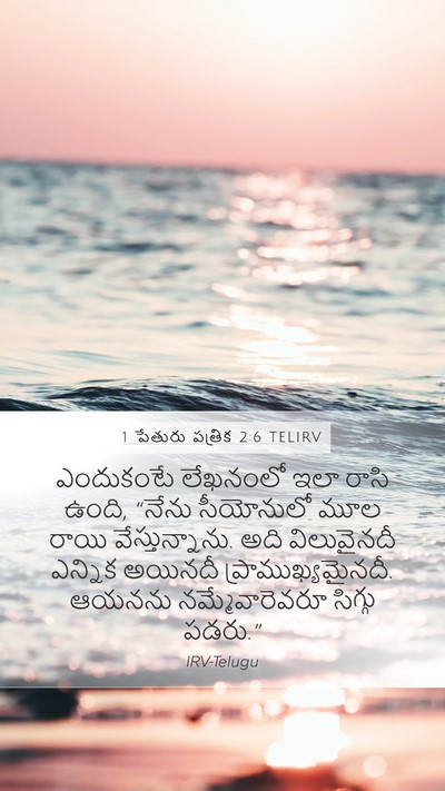 1 పేతురు పత్రిక 2:6 TELIRV Bible Verse Image