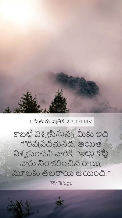 1 పేతురు పత్రిక 2:7 TELIRV Bible Verse Image