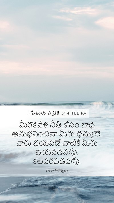 1 పేతురు పత్రిక 3:14 TELIRV Bible Verse Image