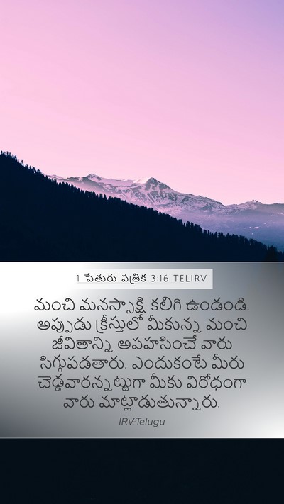 1 పేతురు పత్రిక 3:16 TELIRV Bible Verse Image