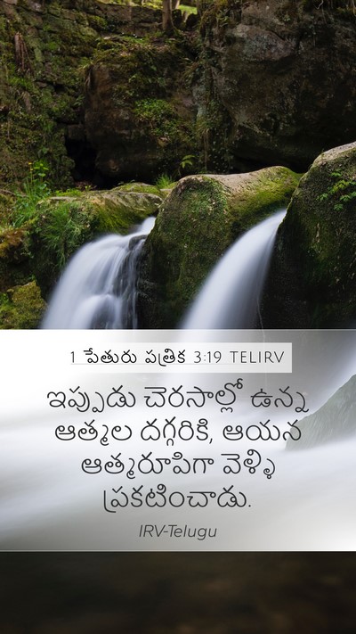 1 పేతురు పత్రిక 3:19 TELIRV Bible Verse Image