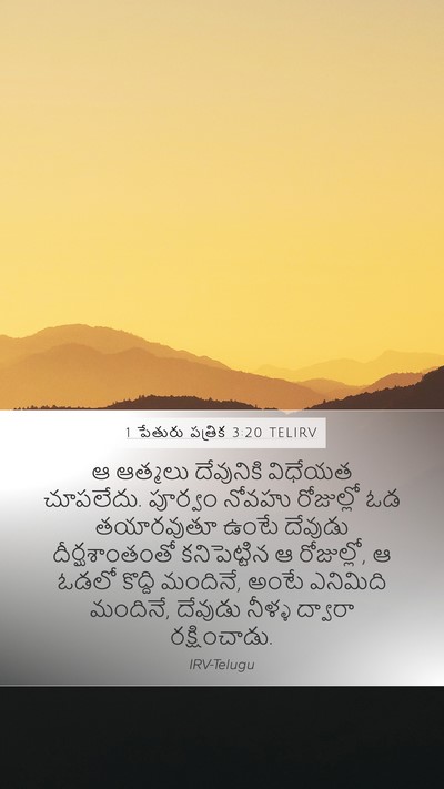 1 పేతురు పత్రిక 3:20 TELIRV Bible Verse Image