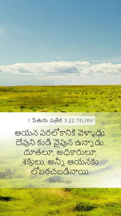 1 పేతురు పత్రిక 3:22 TELIRV Bible Verse Image