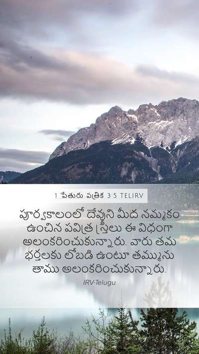 1 పేతురు పత్రిక 3:5 TELIRV Bible Verse Image