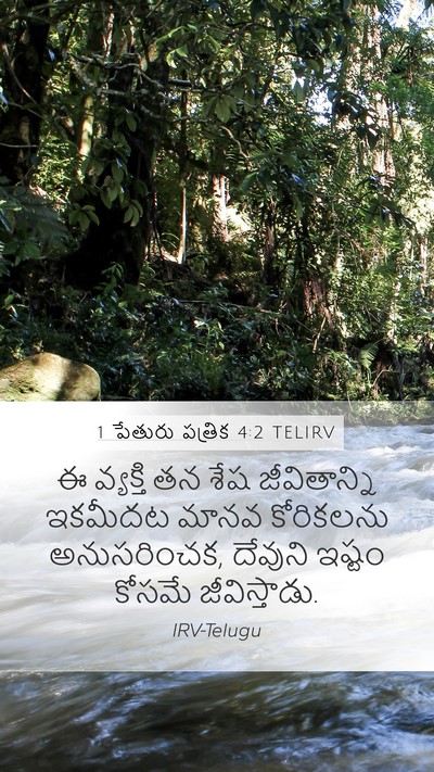 1 పేతురు పత్రిక 4:2 TELIRV Bible Verse Image