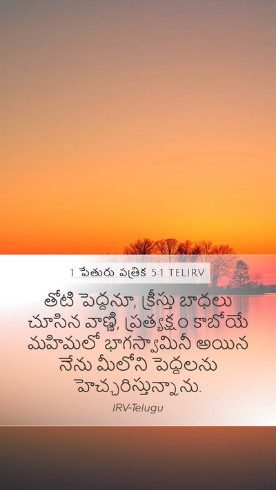 1 పేతురు పత్రిక 5:1 TELIRV Bible Verse Image