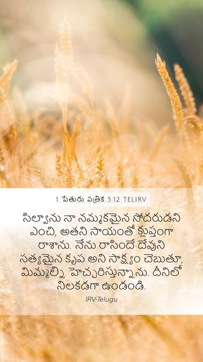 1 పేతురు పత్రిక 5:12 TELIRV Bible Verse Image