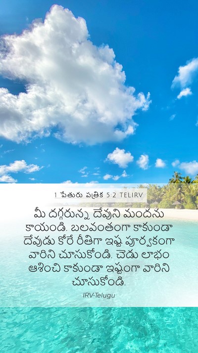 1 పేతురు పత్రిక 5:2 TELIRV Bible Verse Image