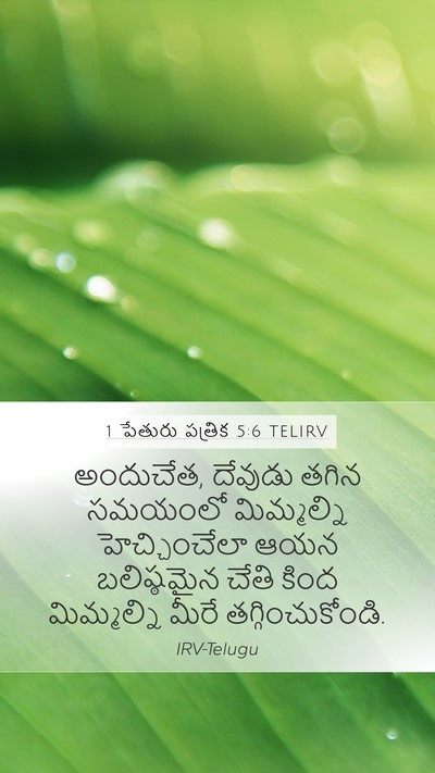 1 పేతురు పత్రిక 5:6 TELIRV Bible Verse Image