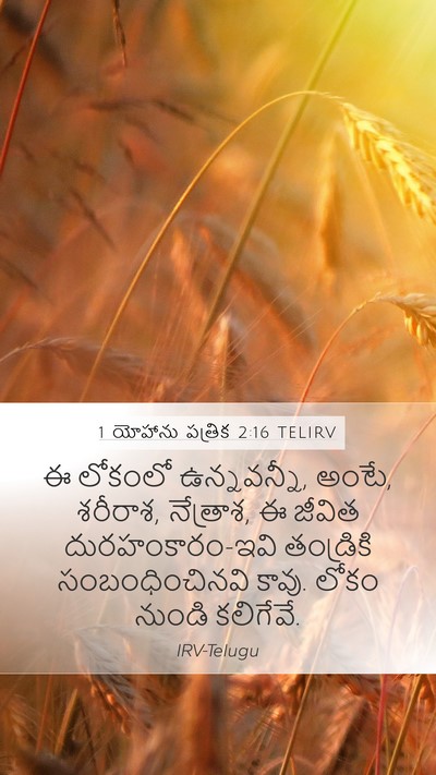 1 యోహాను పత్రిక 2:16 TELIRV Bible Verse Image