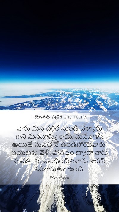 1 యోహాను పత్రిక 2:19 TELIRV Bible Verse Image