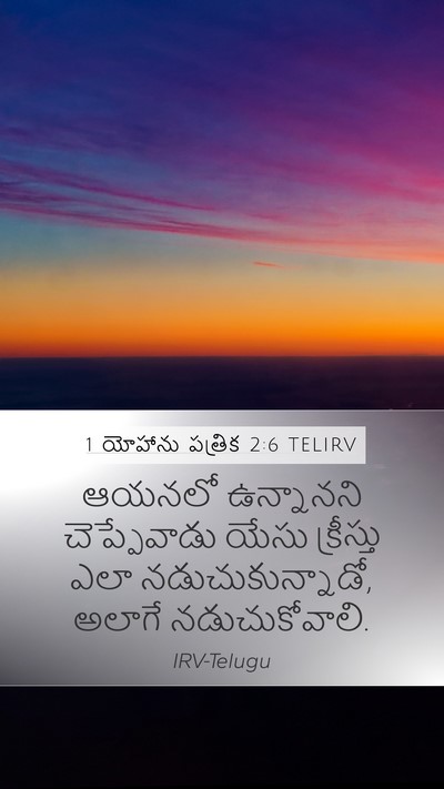1 యోహాను పత్రిక 2:6 TELIRV Bible Verse Image