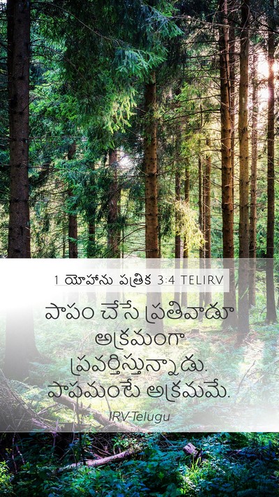 1 యోహాను పత్రిక 3:4 TELIRV Bible Verse Image