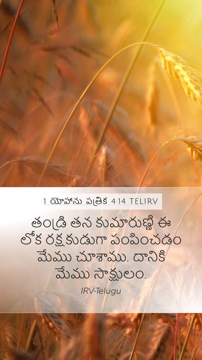 1 యోహాను పత్రిక 4:14 TELIRV Bible Verse Image